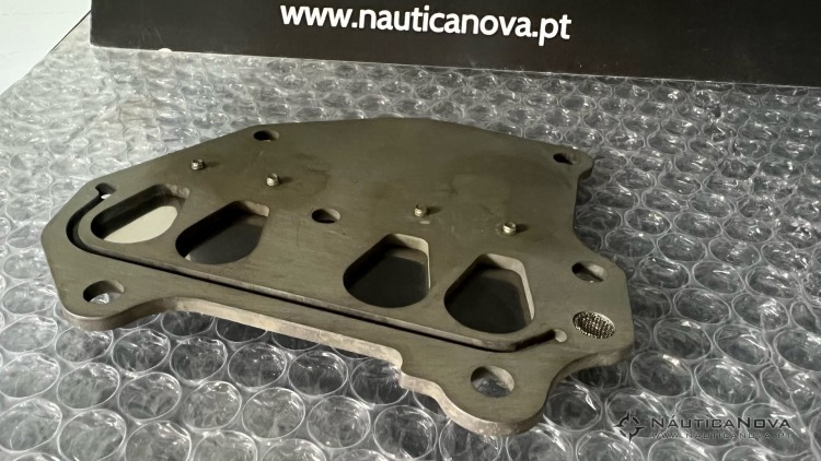 Johnson Evinrude Intake Reed Plate 318921-2