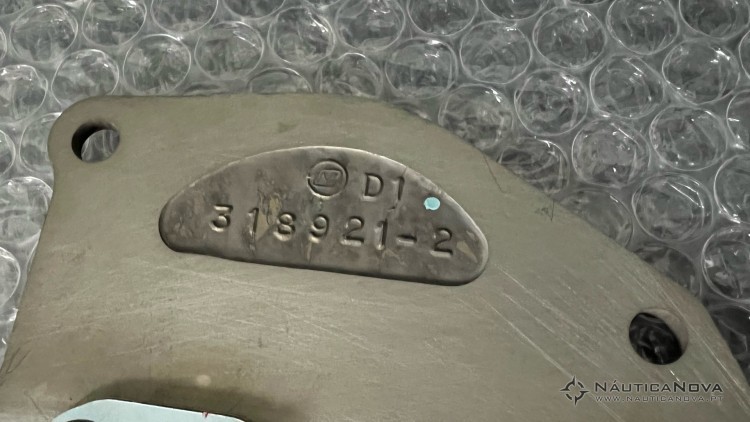 Johnson Evinrude Intake Reed Plate 318921-2