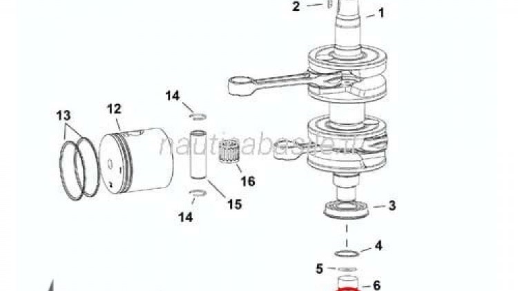 Crankshaft Seal Evinrude Johnson BRP