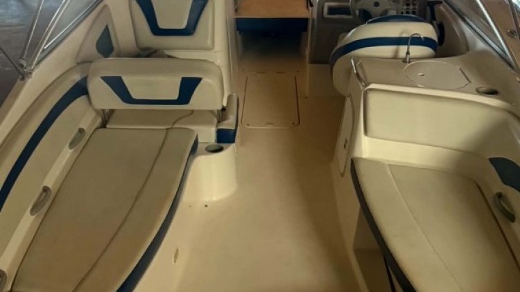 Bayliner Deck Boat 249 SD