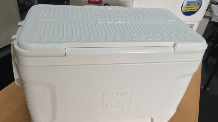 NEVERA IGLOO MARINE ULTRA 24L -18-44677